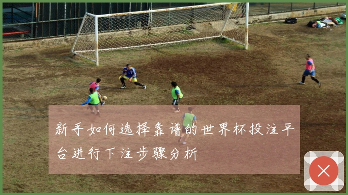 新手如何选择靠谱的世界杯投注平台进行下注步骤分析