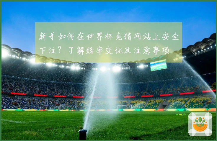 新手如何在世界杯竞猜网站上安全下注？了解赔率变化及注意事项
