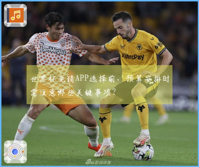 世界杯竞猜APP选择前，预算安排时需注意哪些关键事项？