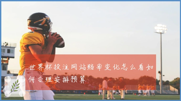 世界杯投注网站赔率变化怎么看如何合理安排预算