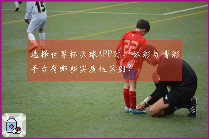 选择世界杯买球APP时，体彩与博彩平台有哪些实质性区别？