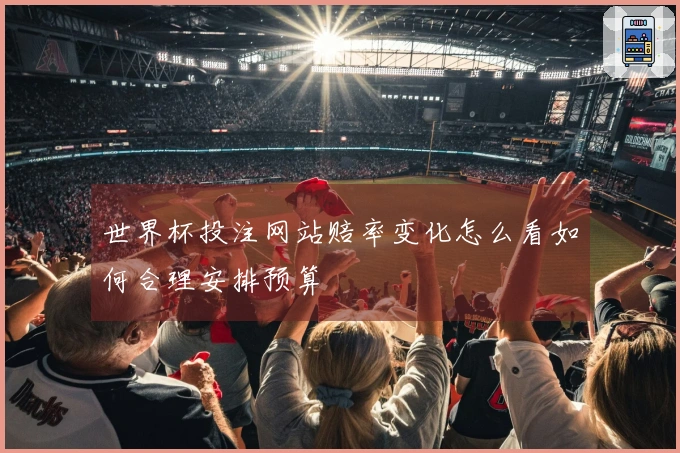 世界杯投注网站赔率变化怎么看如何合理安排预算