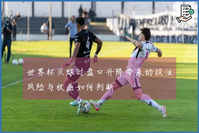 世界杯买球时盘口升降带来的投注风险与收益如何判断